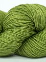 Please note that this is a hand-dyed yarn. Colors in different lots may vary because of the charateristics of the yarn. Machine Wash, Gentle Cycle, Cold Water, Do not Tumble Dry, Dry Flat, Do not Use Softeners. Contenido de fibra 80% Superwash Merino Wool, 20% Seda, Pistachio Green, Brand Ice Yarns, fnt2-72930 