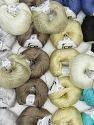 Pure Silk Yarns In this list; you see most recent 50 mixed lots. <br> To see all <a href=&amp/mixed_lots/o/4#list&amp>CLICK HERE</a> (Old ones have much better deals)<hr> Contenido de fibra 100% Seda, Brand Ice Yarns, fnt2-74866 